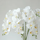 orchidée phalaenopsis préservée fleurs artificielles pour décoration mariage