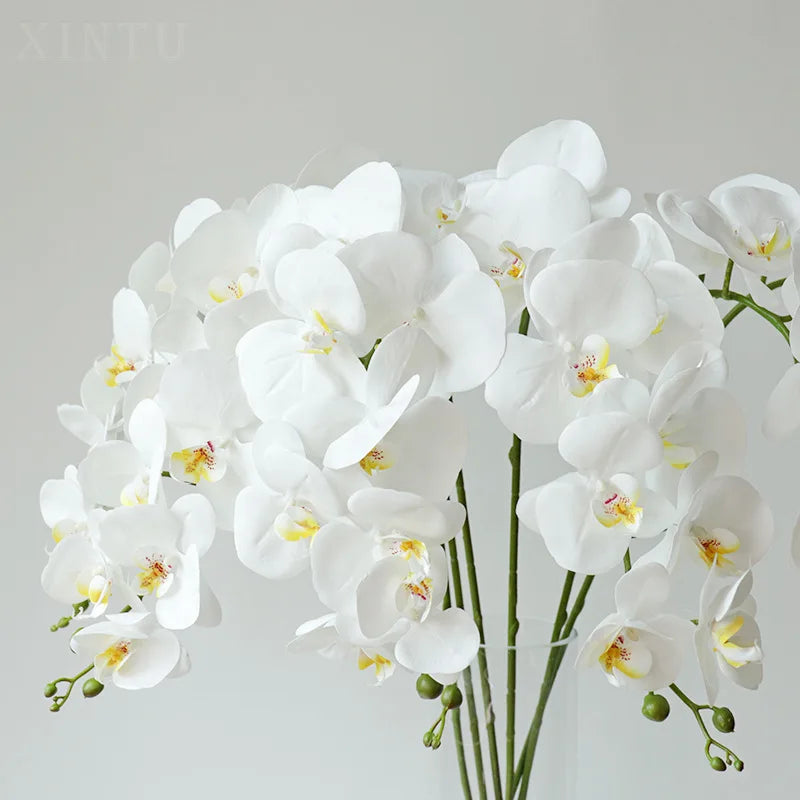 orchidée phalaenopsis préservée fleurs artificielles pour décoration mariage - vue 5 sur 17
