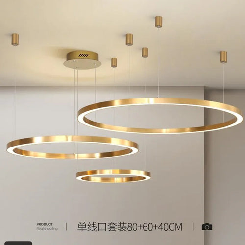 lustre led moderne brossé avec anneau lumineux - vue 2 sur 12