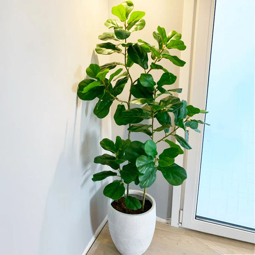 plantes tropicales ficus artificiel toucher réaliste pour décoration intérieure