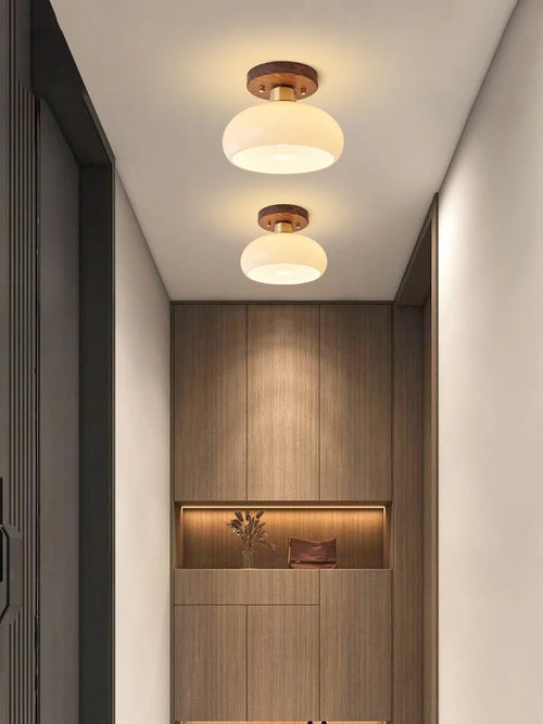 Grass Led Ceiling Lamp for Hallway, Entryway, Kitchen, Foyer Living Room Indoor Lighting white lamps home Decor Lustres fixture - vue 5 sur 7
