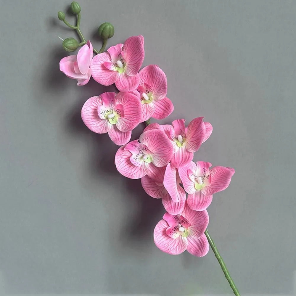 plantes artificielles phalaenopsis 3d toucher réaliste orchidée décorative