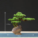 faux arbre bonsaï pour décoration intérieure et aménagement paysager