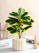 petites plantes artificielles feuilles de cœur décoration intérieure et extérieure