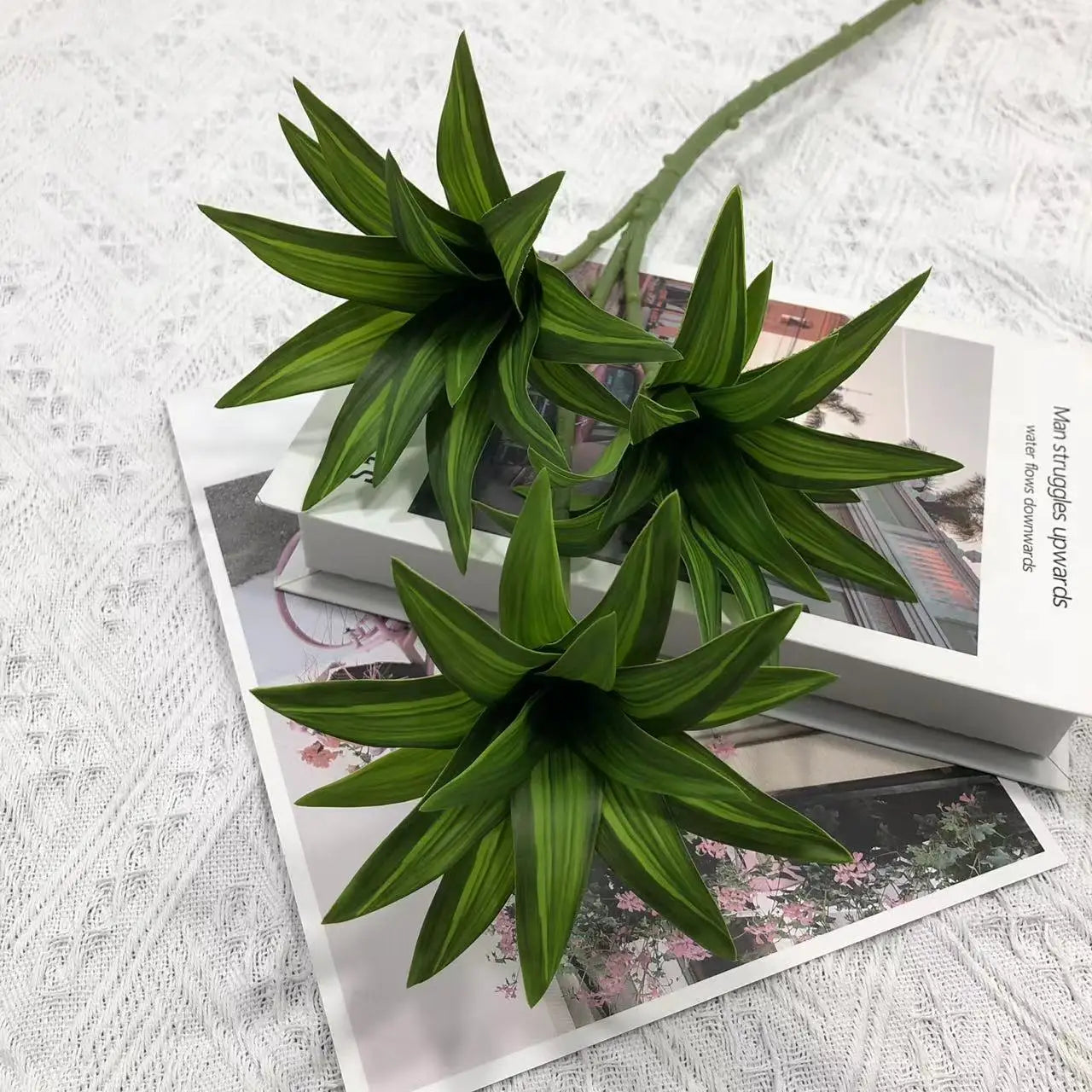 plante tropicale en pot avec palmier et bambou décoratif - vue 18 sur 18