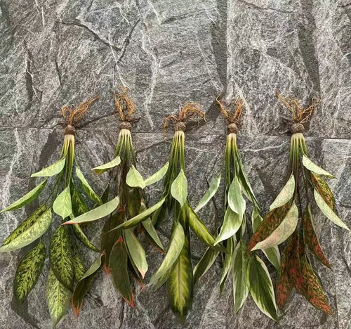 plantes artificielles en plastique avec racines pour décoration de mariage - vue 4 sur 7