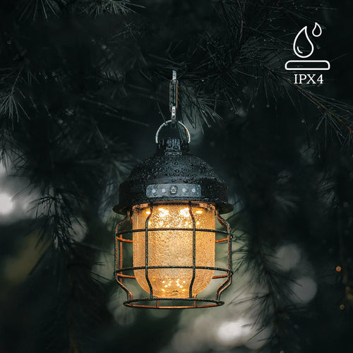 49623390388570|49623390421338|49623390454106