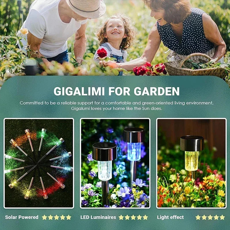 lampes solaires d'extérieur pour jardin et décoration de paysage - vue 5 sur 9