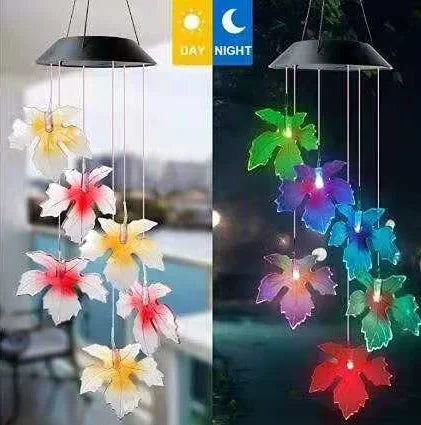 49623396909402
