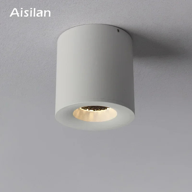 Aisilan Surface Monté Downlight LED COB Puce Super Anti-éblouissement Plafonnier pour Salon Couloir Foyer