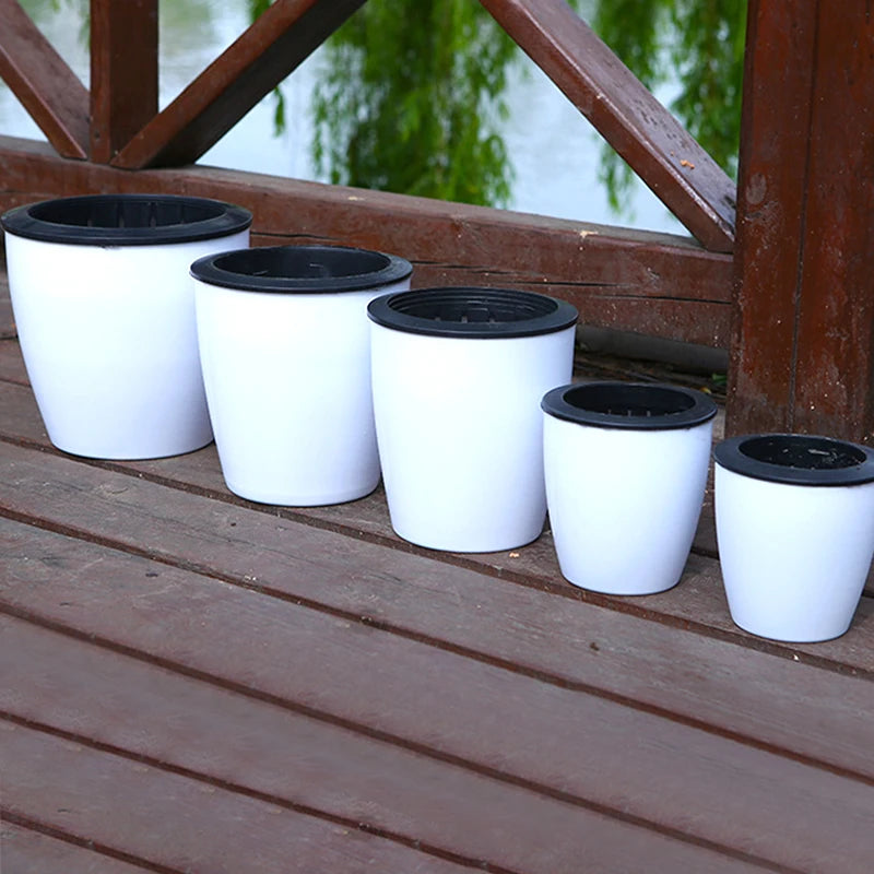jardinière auto-arrosante moderne pour plantes succulentes et orchidées - vue 5 sur 12