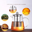 Théière verre borosilicate infuseur amovible acier kungfu