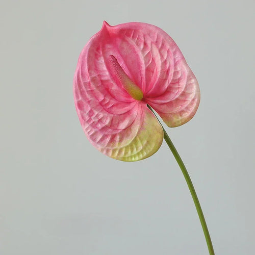 décoration de jardin feuilles artificielles anthuriums pour extérieur - vue 11 sur 10