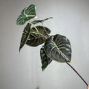 lot de 2 plantes vertes artificielles décoratives en plastique
