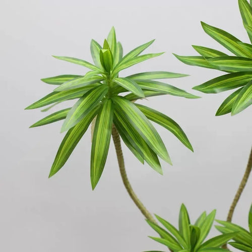 plante tropicale en pot avec palmier et bambou décoratif - vue 6 sur 18