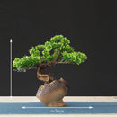 faux arbre bonsaï pour décoration intérieure et aménagement paysager
