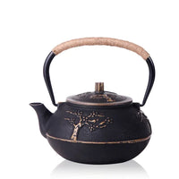 Théière japonaise en fonte avec infuseur maille 750ml