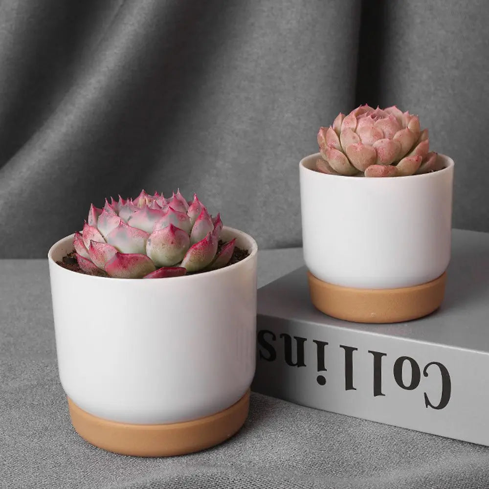 pot de fleurs automatique double couche pour plantes succulentes - vue 4 sur 8