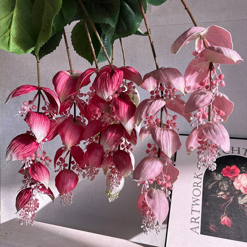 fleurs artificielles tropicales medinilla magnifica pour décoration intérieure - vue 5 sur 9