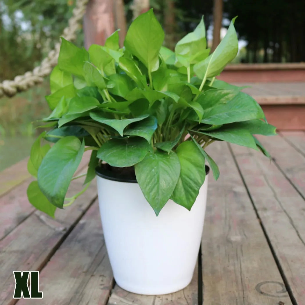 pot de fleurs automatique en plastique effet porcelaine - vue 7 sur 12