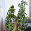 feuilles d eucalyptus artificielles en rotin pour décoration intérieure et extérieure