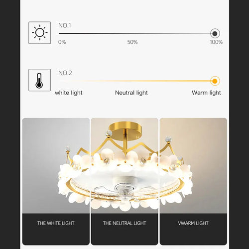 ventilateur de plafond led moderne avec télécommande et éclairage décoratif - vue 5 sur 10