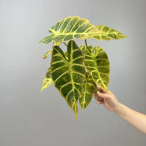 lot de 2 feuilles artificielles pour décoration de fête automne - vue 11 sur 10