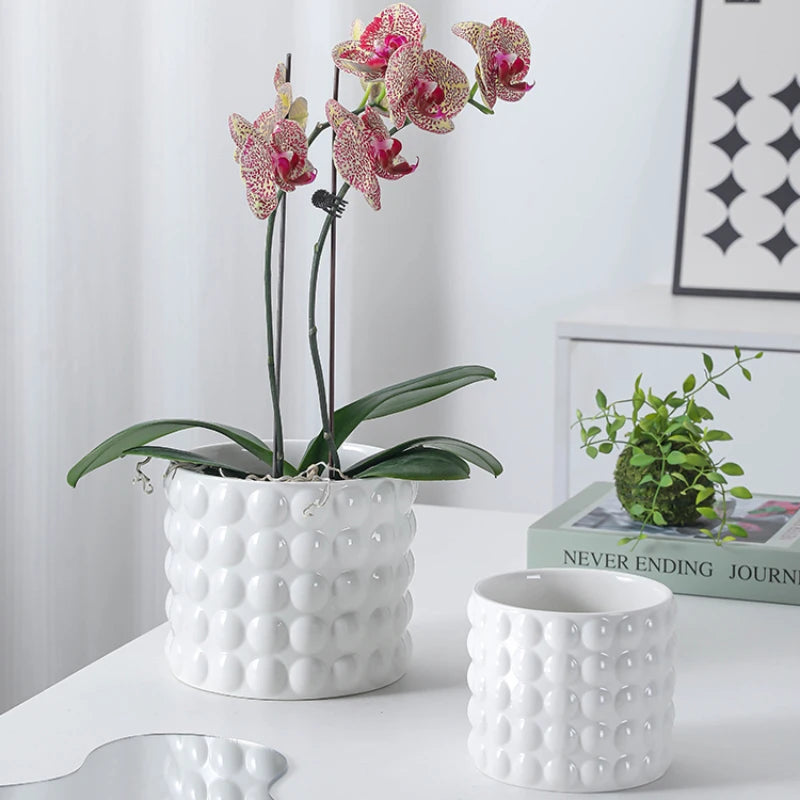 pots en céramique pour plantes succulentes style européen intérieur