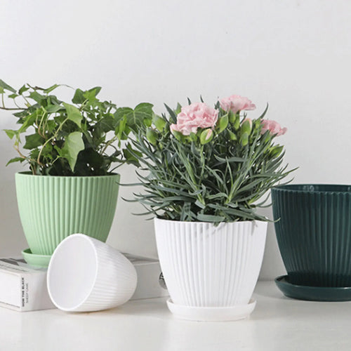 pots de jardin multicolores avec plateau pour semis de fleurs - vue 3 sur 10