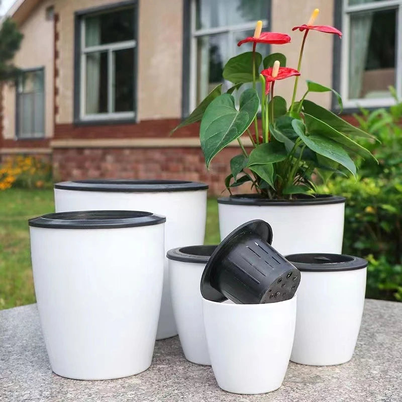 jardinière auto-arrosante moderne pour plantes succulentes et orchidées