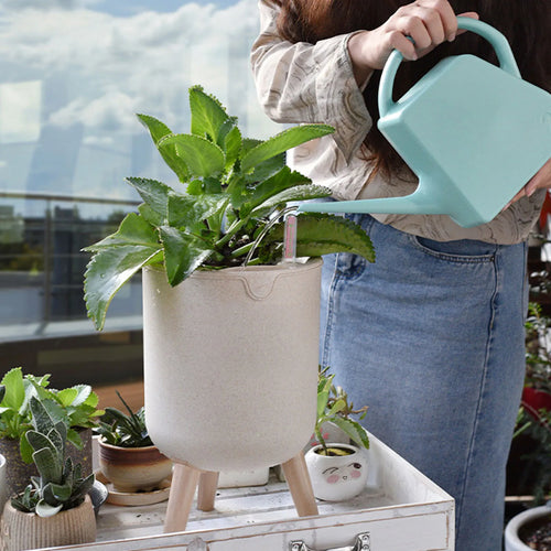 pot de fleurs automatique avec indicateur de niveau d'eau et rangement - vue 6 sur 6