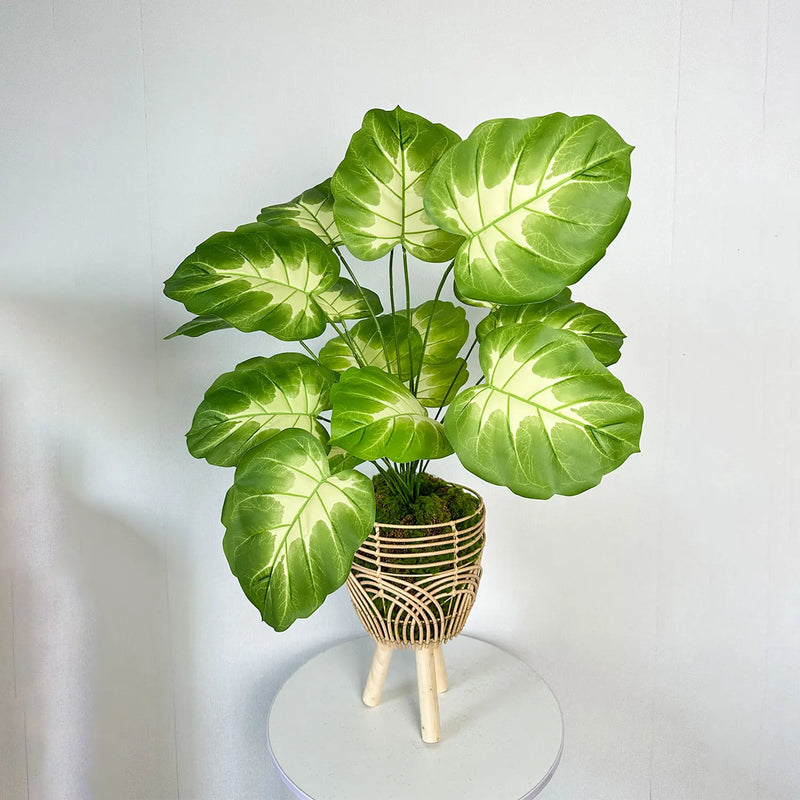 plante monstera réaliste pour décoration intérieure moderne