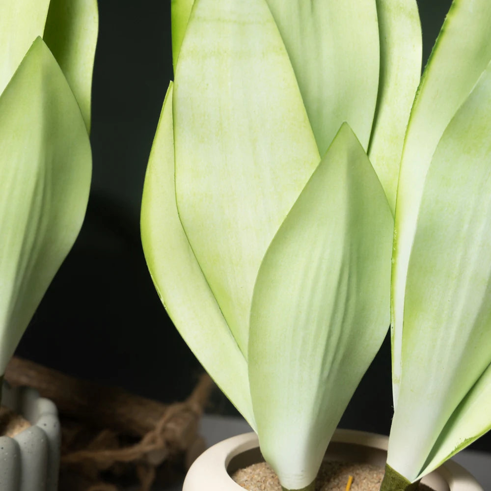 plantes succulentes artificielles décoratives pour intérieur et extérieur - vue 4 sur 7