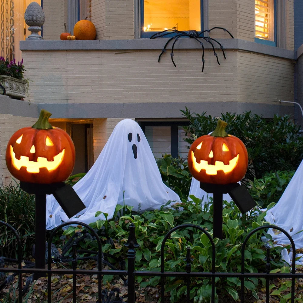 2 Lampes Solaires Crâne De Corbeau - Déco Halloween Et Jardin - Éclairage Extérieur Résine Résistant Aux Intempéries