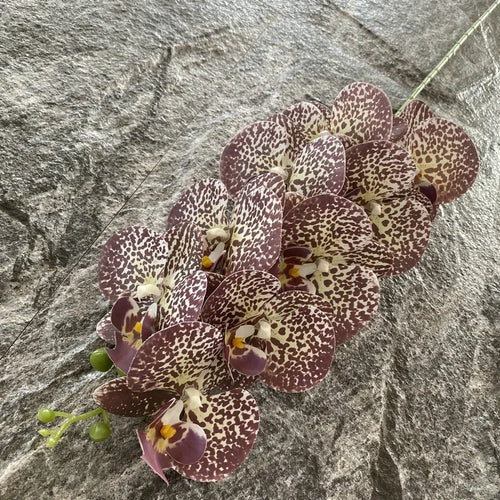 phalaenopsis artificiel orchidée décorative pour mariage et jardin - vue 24 sur 23
