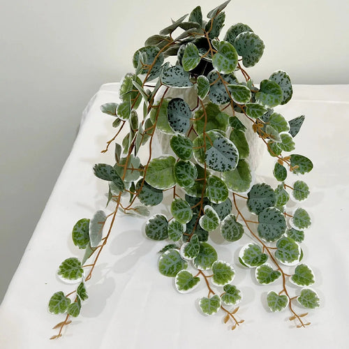 plantes artificielles eucalyptus pour décoration murale et jardin - vue 3 sur 5