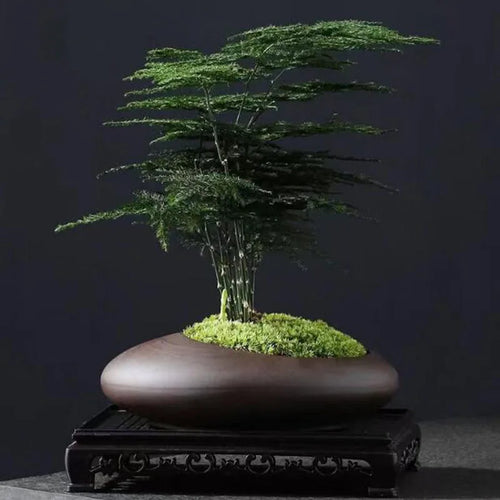 pot de fleurs en argile rétro style chinois pour décoration de jardin - vue 3 sur 7