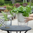 pot de fleurs auto-arrosant en plastique pour plantes succulentes