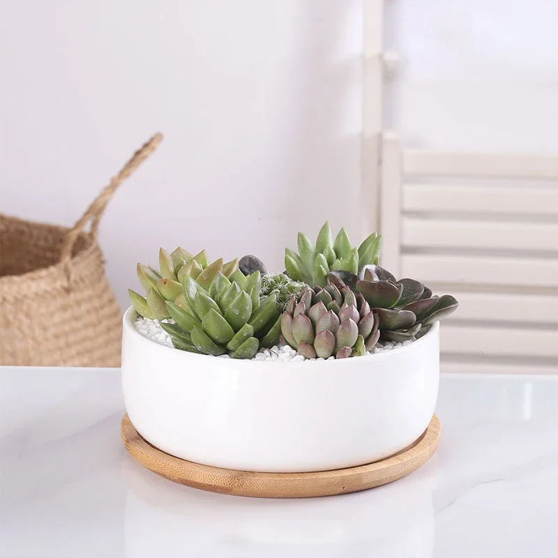pot en céramique pour plantes succulentes avec plateau en bambou - vue 4 sur 7
