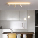 Plafonnier led acrylique projecteur spots