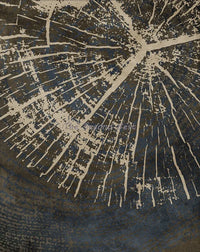 affiches abstraites sur les anneaux des arbres décoration murale