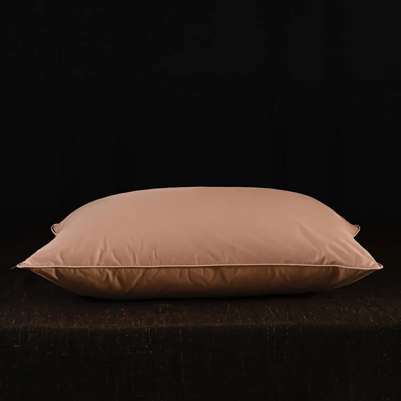 oreiller en duvet d'oie moelleux plusieurs tailles housse coton
