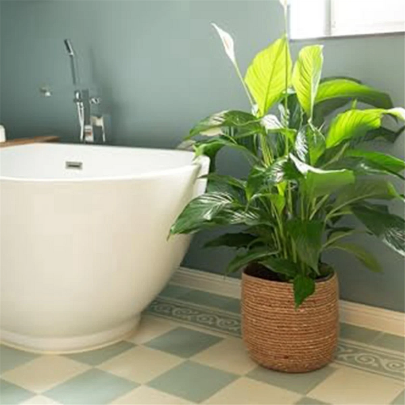 Grande boîte tressée avec couvercle | Déco bohème | Finca Home Grande boîte tressée avec couvercle | Déco bohème | Finca Home