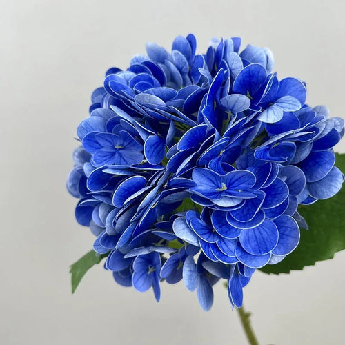 décoration de mariage fleurs artificielles hortensias et roses rouges - vue 16 sur 15