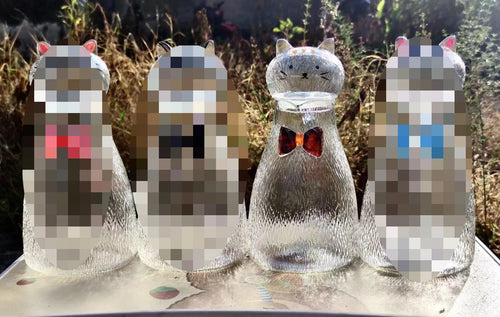 carafe en verre résistant motif chat style ludique