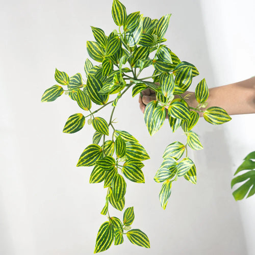 plante artificielle suspendue scindapsus aureus décoration intérieure et extérieure - vue 16 sur 16