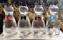 carafe en verre résistant motif chat style ludique