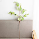 plante artificielle eucalyptus pour décoration automnale et arrangements DIY
