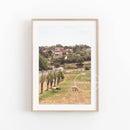 photographie florale de printemps en toile pour décoration murale