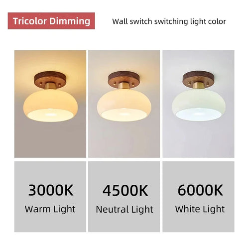 Grass Led Ceiling Lamp for Hallway, Entryway, Kitchen, Foyer Living Room Indoor Lighting white lamps home Decor Lustres fixture - vue 6 sur 7